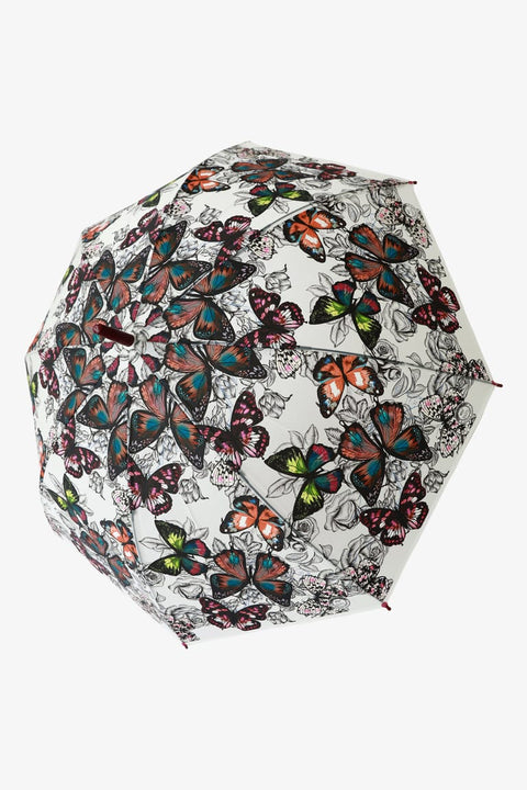 パープル 画像